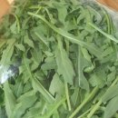 예원농장 이미지