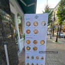 파리바게뜨일산웨스턴점 | 일산 웨스턴돔 새로 생긴 샐러드집 샐러디(Salady) 콥샐러드 후기
