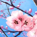사람人