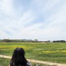 손발공주 | 부여, 공주 1박 2일 일정, 루트 공유/봄 나들이 장소 추천