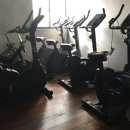 다듬피트니스 이미지