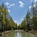 제394차경북경주:석굴암.국립경주박물관.경북천년숲정원 기행안내 이미지