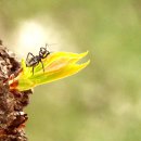 삼일공원 이미지