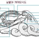 연호정 이미지