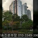 푸른특별시