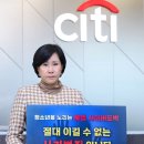 싸이버씨티 이미지