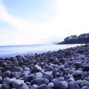 올래올래 이미지