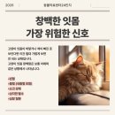 동물의료센터24인치 이미지