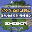 스위핑 | 양주 애견시설 인조잔디 오염 및 악취 강아지냄새 제거청소 후기