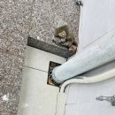 화진향촌빌라 이미지