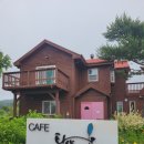 타샤의언덕 | [대관령카페] 타샤의언덕 솔직후기