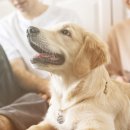 송도반려동물약국 이미지