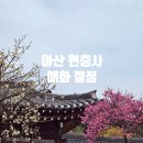 (주) 팜스토리 서울사료 천안 | 현충사 매화 3월 지금 바로 가야 하는 이유