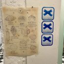 디와이코리아(DY Korea) | 양재 베이커리 크레미엘 : 양재에서 Paris를 느껴보실래요??🍞💐