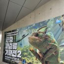 일산 아쿠아플라넷 파충류 곤충 관람 가능한 다흑기획전 내돈내산 방문후기