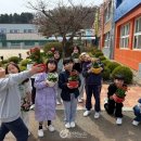 궁평초등학교 이미지