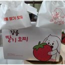 시크릿강릉 이미지