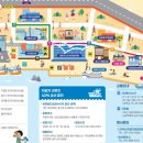 부산자갈치 이미지