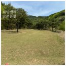 파인밸리골프클럽 | 대구 구미 김천 파3 골프장 파인밸리 가성비, 관리, 작지만 여유로움에 반하다.