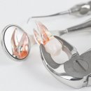 가정백세플란트치과의원 이미지