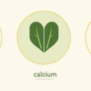 비금지킴이 이미지
