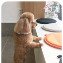 경희궁 바른 동물병원 이미지