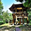 계룡시 두마면 두계 두계리 122-4 | 계룡 왕대산 사계솔바람길 녹음 짙은 여름숲이 좋다