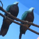 성북동3 이미지