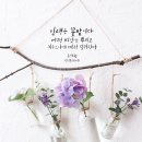 캘리스토리 이미지
