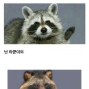 나는 돈까스 이미지