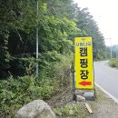 사랑나무 캠핑장 이미지