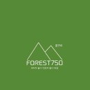 숲750 이미지