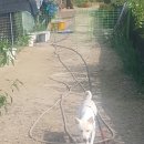 솔비농장 이미지