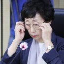 최영애 이미지
