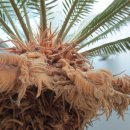 인삼랜드휴게소 이미지