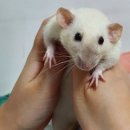공차 현대천호점 이미지