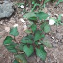 우곤리 농장 이미지