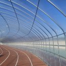 종합운동장 육상경기장 이미지