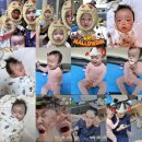 산호동266 이미지