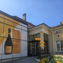 카페(CAFE) 53 | 뵈브 클리코 Veuve Clicquot 샴페인하우스! Cafe Clicquot cafe 카페 런치 후기