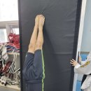 한국체대 석사 태권도장 이미지