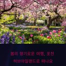 포천 허브아일랜드 봄 축제