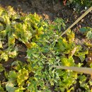 희정이네농장 이미지