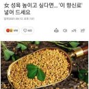 향신료 호로파의 효능 이미지