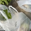 순천향어린이집 | 생후 74주 , 나의 체리 ᰔ