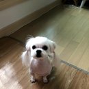 형네 PC방 이미지