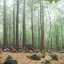 하나 숲 관광농원 이미지