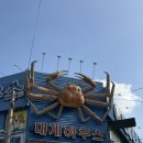 기장대게 - 부산진구 | 대게하우스 기장 본점 | 기장 시장 대게 맛집 내돈내산 후기