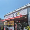 일등면가