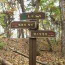 향수산 정상 이미지